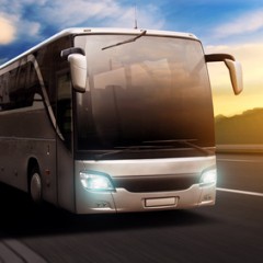 Günstig reisen: Die Zahl der Fernbusse steigt
