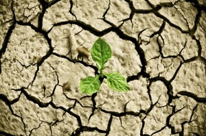 UN-Klimawandelbericht: Wo sind die Folgen am schlimmsten? 