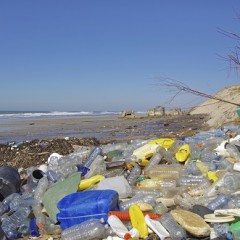 Plastikmüll in den Weltmeeren: Hoffnung auf Besserung?