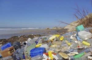 Plastikmüll in den Weltmeeren: Hoffnung auf Besserung? 