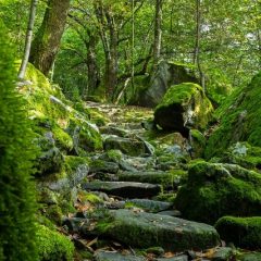 Wanderungen im Tessin – ein unvergessliches Erlebnis