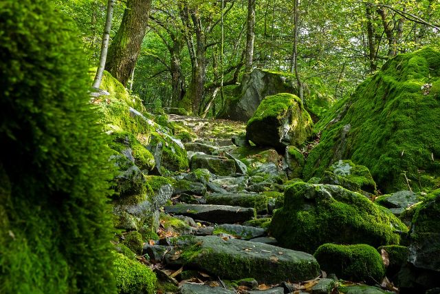 Wanderungen im Tessin – ein unvergessliches Erlebnis