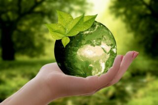 Vergessene nachhaltige Materialien – Warum wir in die Entwicklung investieren müssen