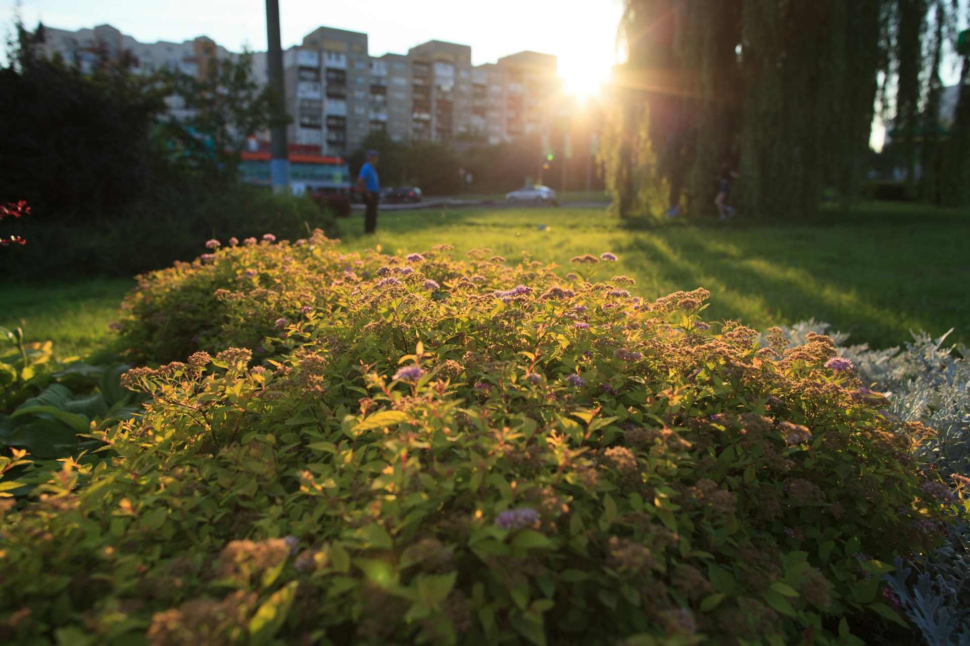 andriy-babchiy-tty8WhK68No-unsplash